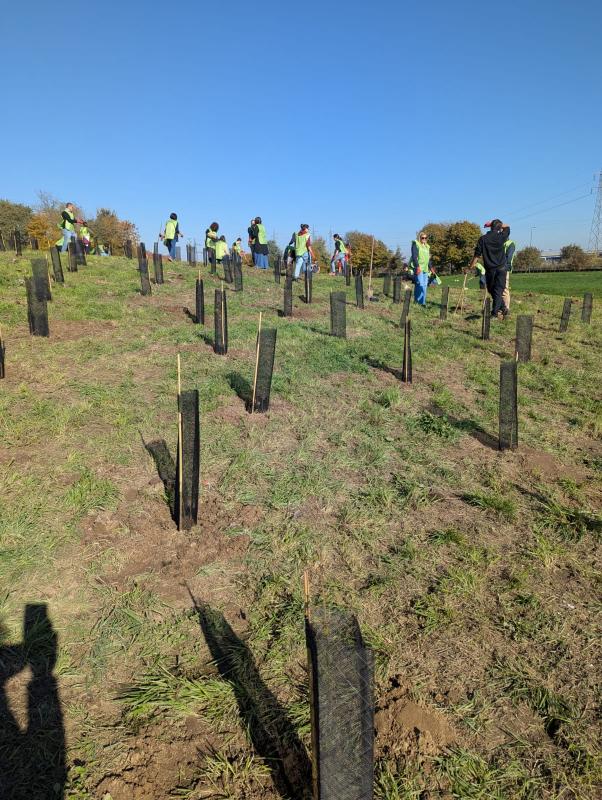 Reconice Sustainability has deep roots