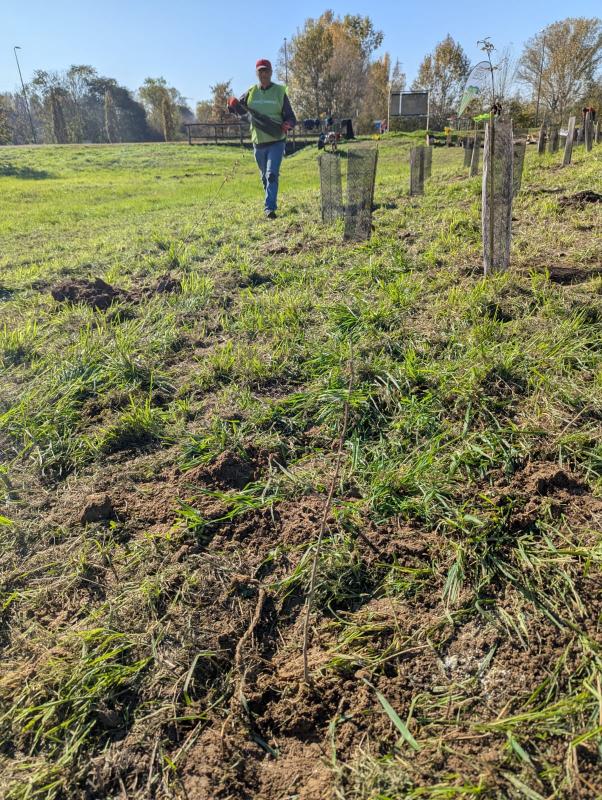 Reconice Sustainability has deep roots