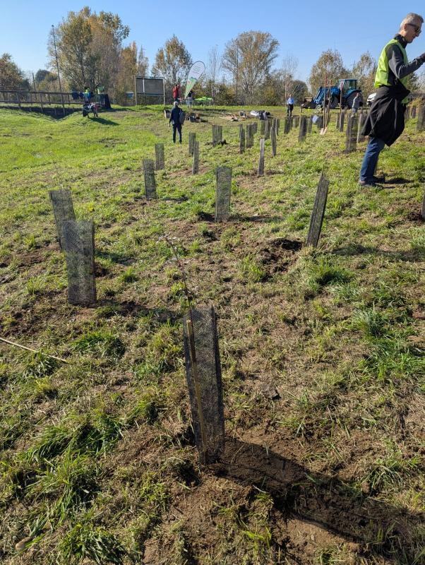 Reconice Sustainability has deep roots