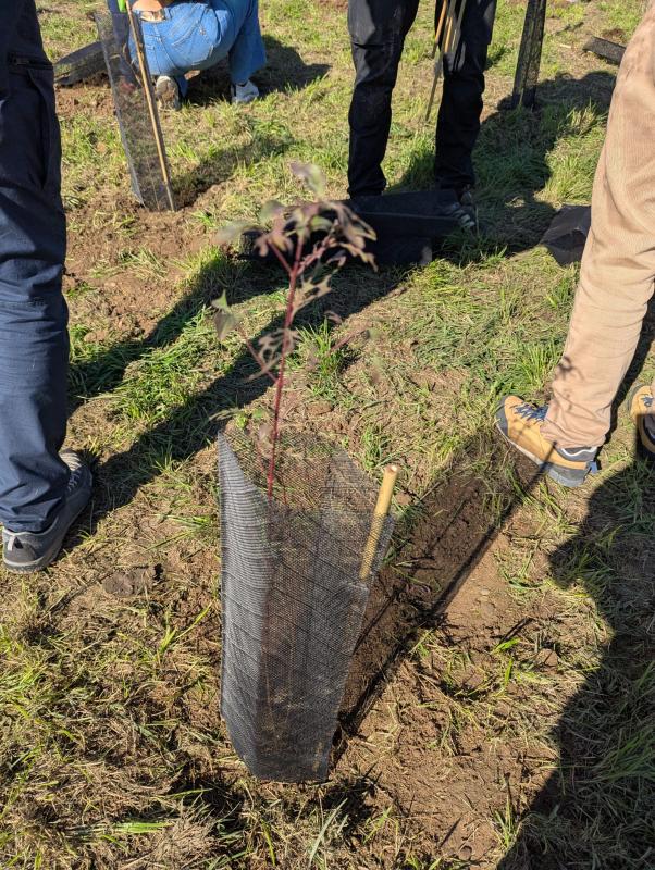 Reconice Sustainability has deep roots