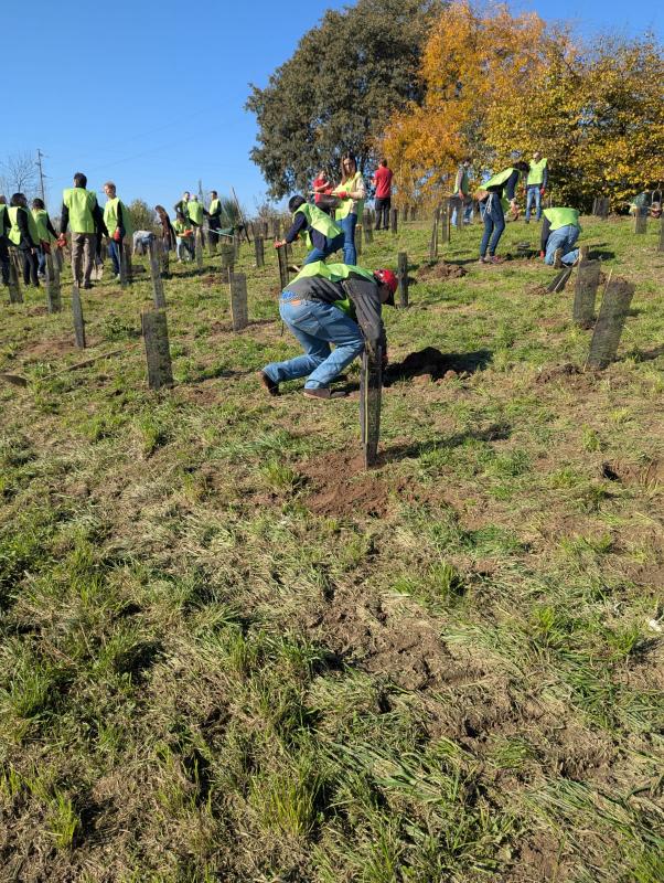 Reconice Sustainability has deep roots