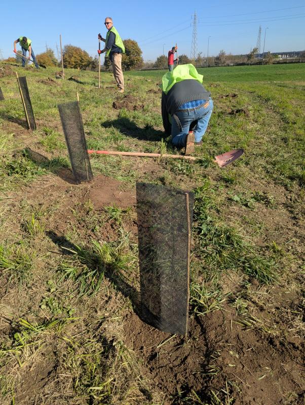 Reconice Sustainability has deep roots