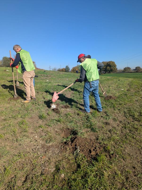 Reconice Sustainability has deep roots