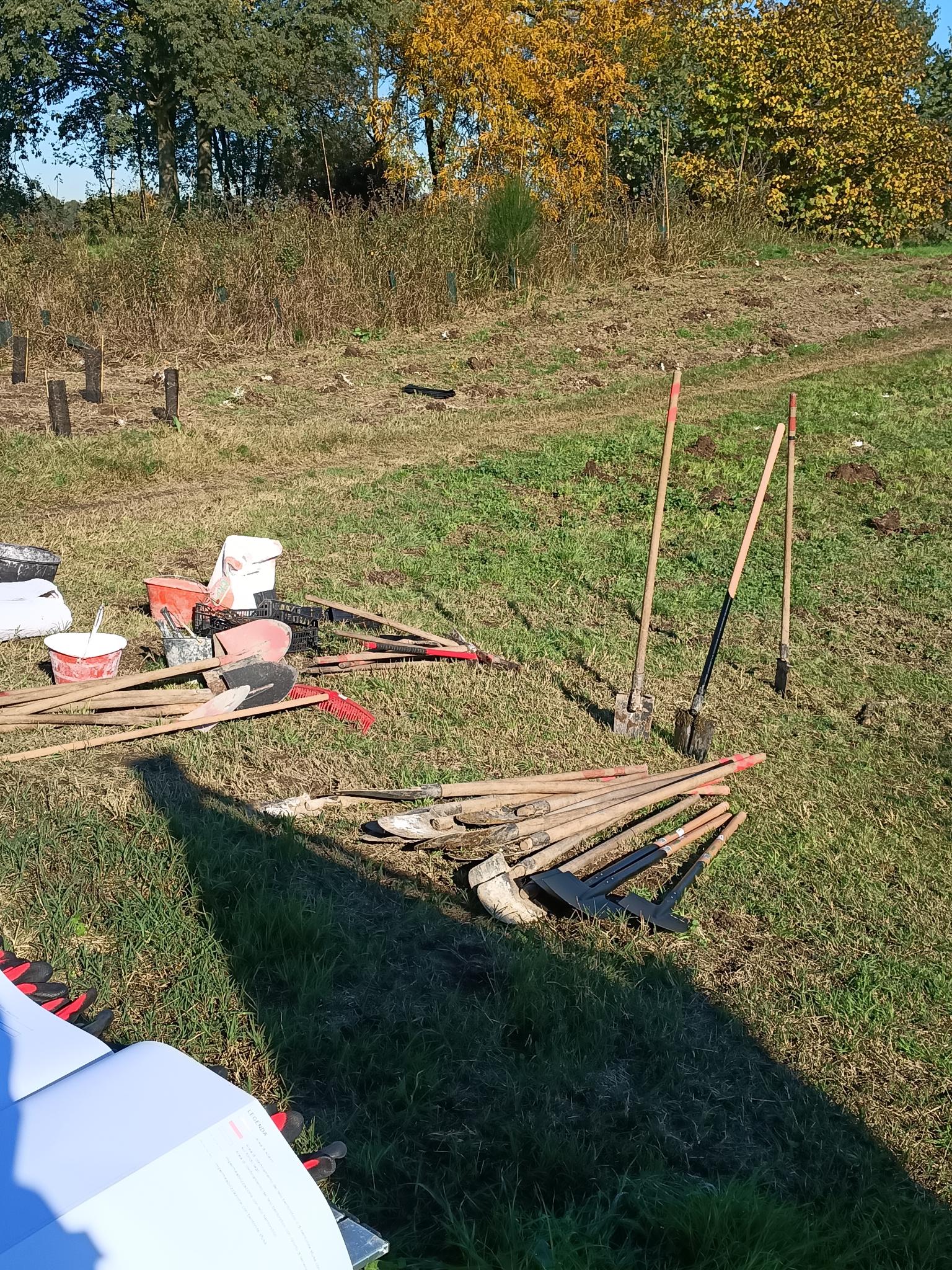 Reconice Sustainability has deep roots