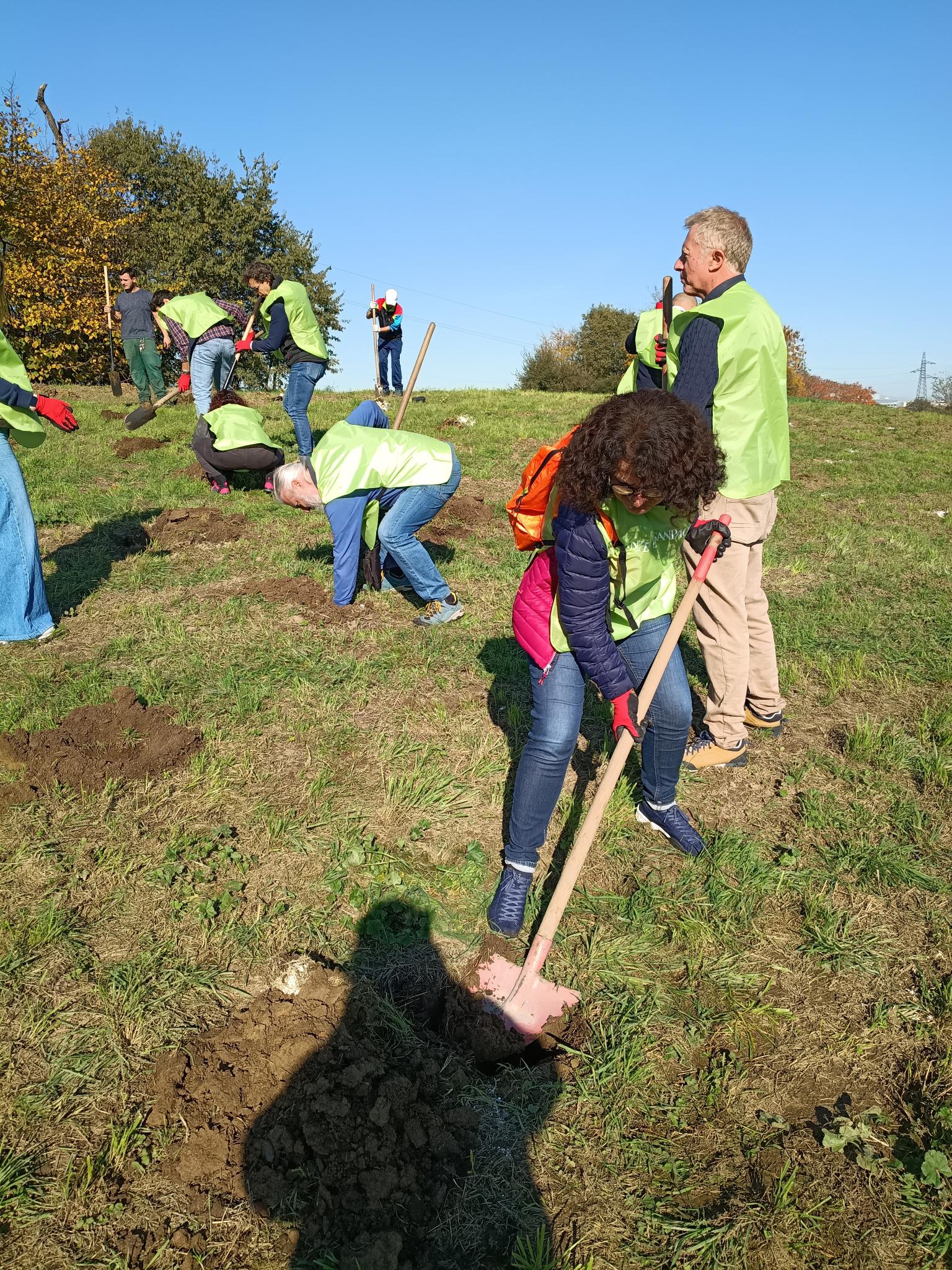 Reconice Sustainability has deep roots