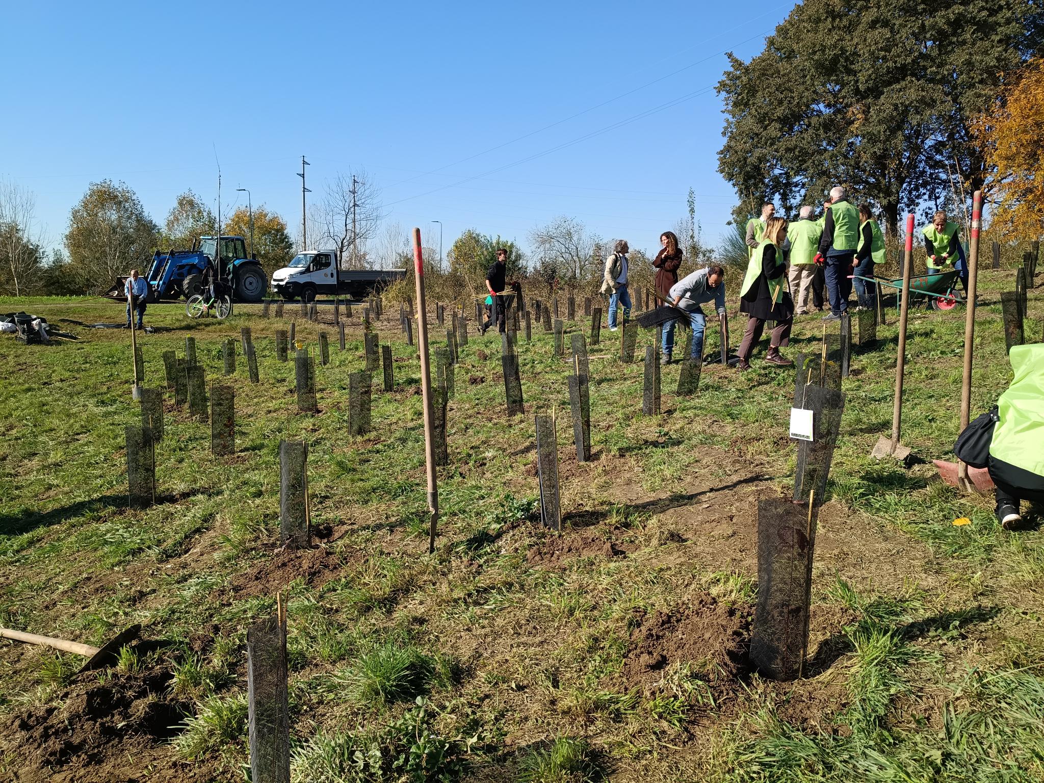 Reconice Sustainability has deep roots