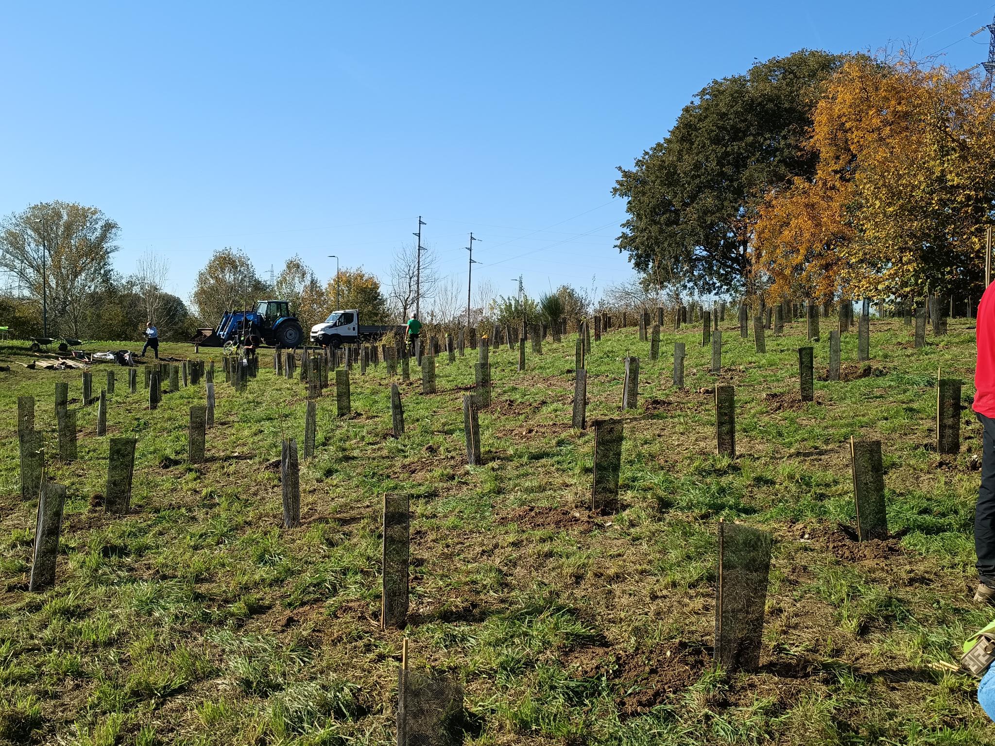 Reconice Sustainability has deep roots