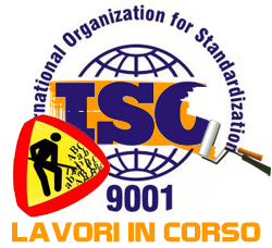 ISO9001wip